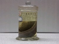 藏品(裸胸鯙)的圖片